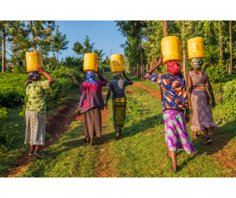 Water, Sanitation and Hygiene (WASH)